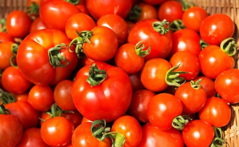 ٢٠٢١٠٤١٤ ٢٠٣٩١٤