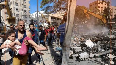 01365943 ABDF 451C 8C18 0A79BAC5D198