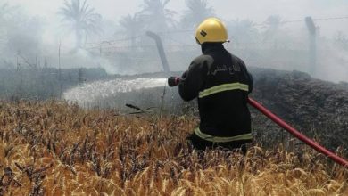 03E5CD65 F376 4594 8683 7D50BD0DE31E