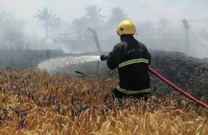 03E5CD65 F376 4594 8683 7D50BD0DE31E