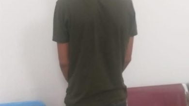 0691454C 8947 4118 B0F6 443FBBD5C3D3