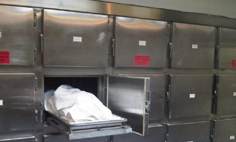 085F0BA1 CE0A 48D7 BA48 C205C32DCECE