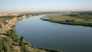 1134BD75 3CD0 4543 B2A1 DB6E8D972254