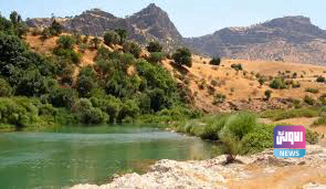 12C548BF C02A 4777 A711 C5EC0CF9CC1F