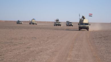 143052021 55c921d8 484a 4e85 ae07 656145029729