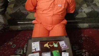 171552021 B1B4A6BC 6C8D 4E77 BFAF 044F460FC582