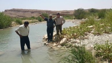 176C2A28 0D64 4FEB 9BB7 A44DB299DCCB