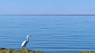 السياحة: مشروع تطوير نهر النجف سيخلق فرص عمل للعاطلين 9 20FAB5FA 1BED 41D2 AF0E D8C287CC048D