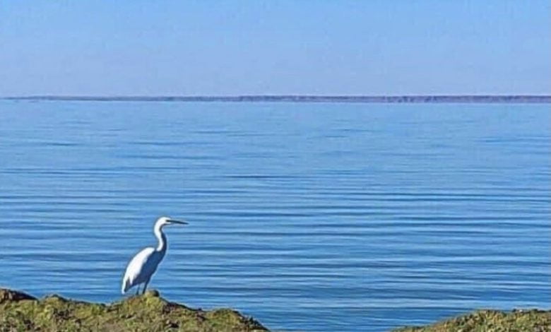 20FAB5FA 1BED 41D2 AF0E D8C287CC048D