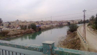 22E36E1C 289B 46A2 A9CA FB2B6BB8A0E0