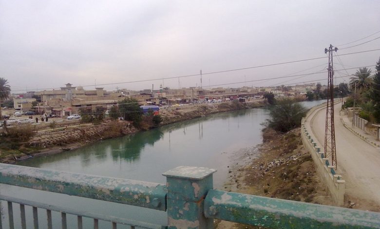 22E36E1C 289B 46A2 A9CA FB2B6BB8A0E0