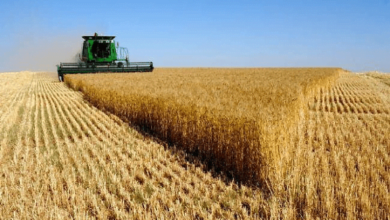 28FF6FA6 4FC7 44EB A1BC 59510FE91271