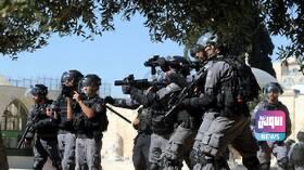 299412D5 7016 4BBD 9681 4FA5D1EB1FBA