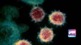 بريطانيا: لقاحا "أسترازينيكا" و"فايزر" فعالان ضد المتحور الهندي من كورونا 1 2A2418EE 2AB1 4DB7 94BB D98014A70053