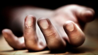 2D096801 5D9C 493C 8DA7 0E40DDD6F041