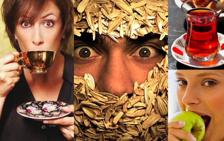 330981 untitled 17 2