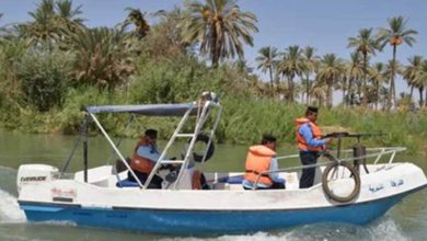 3F99F7FF 1DB6 45F1 BF2E 54D2AF031F8F