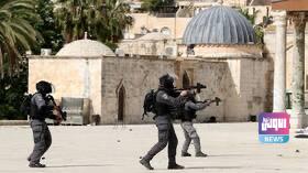 3FF9B5A3 2540 4214 81C6 76A74C7D6FCE