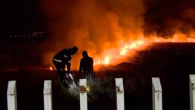 41172047 4275 4976 A00D 673B8D1A4452