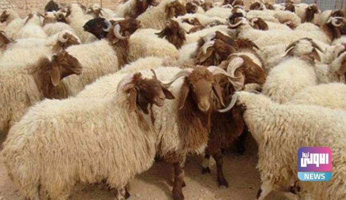 46D131D8 A469 494E BB43 51FD7C7FA8C6