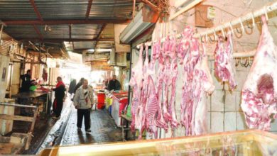 48585687 A9D6 4F87 9D52 A0A3EDDC0651