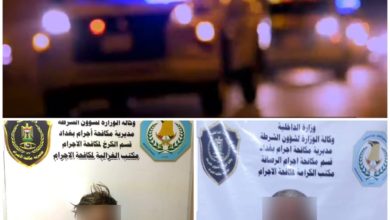 4A12CAED 621D 4823 8CC0 8EE914C37160