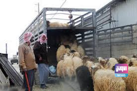 4FE37B16 EDDB 4E4D B915 131B0CF440B2