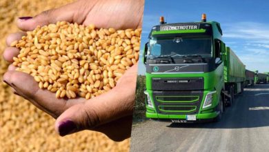 5891D919 0897 4A8A 850D 78B511BCC807