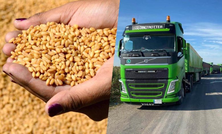 5891D919 0897 4A8A 850D 78B511BCC807