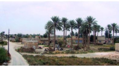 59E0F038 9091 4E98 ACF4 17A89AB78562