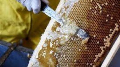 5e57d46da1c26 750x500 1