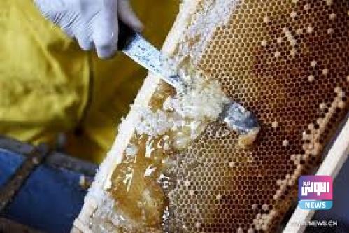 5e57d46da1c26 750x500 1