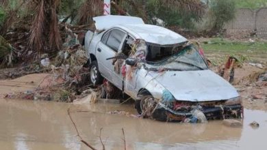 608fd69242360441f46afa5a