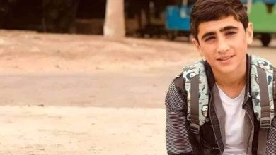 609311e8423604078e102175