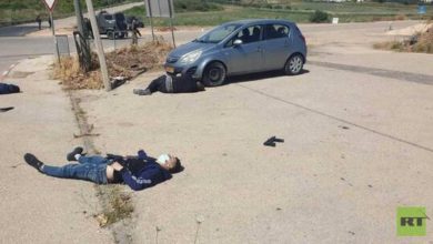 6094f6b642360403d0497253