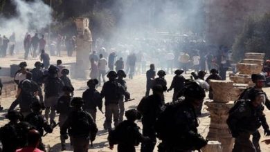 6098706b4c59b737d069f04c