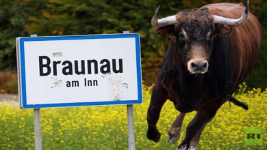 609890684c59b7793777b4eb