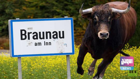 609890684c59b7793777b4eb