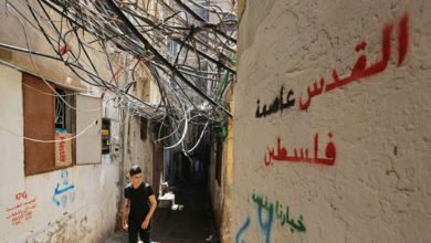 6098f1284236047a62376e26