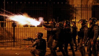 6099cc5d423604152247df3f