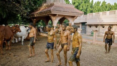 6099e4cb4236040fc039340c