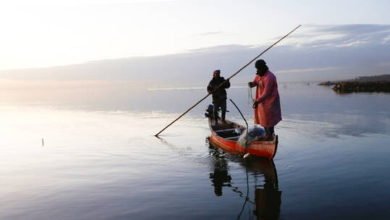 609a50fa42360464aa1b3f9e