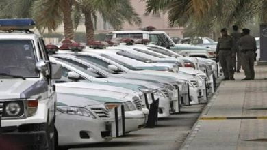 609ce07e4236042480343834