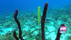 609e2a084c59b74d36211e2b