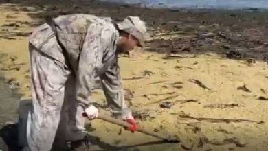 609e7e124236042fa710e255