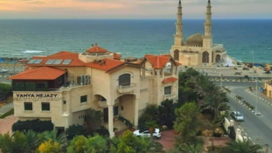 60a215554236047d04137284