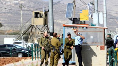 60a219904236046ffc057961