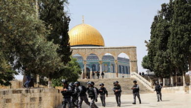 60b324f742360419006f6068