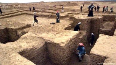 6CC70ADE EE2B 4627 8EB6 D016AF988407