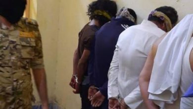 7191BADF 6904 4D9F B7F3 1A51F06DE7FE